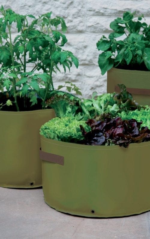  3 Jardinières pour légumes de grosseurs différentes