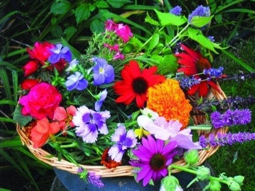  Fleurs Comestibles