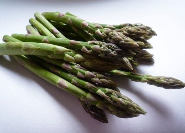 Asperge Guelph Millenium F1