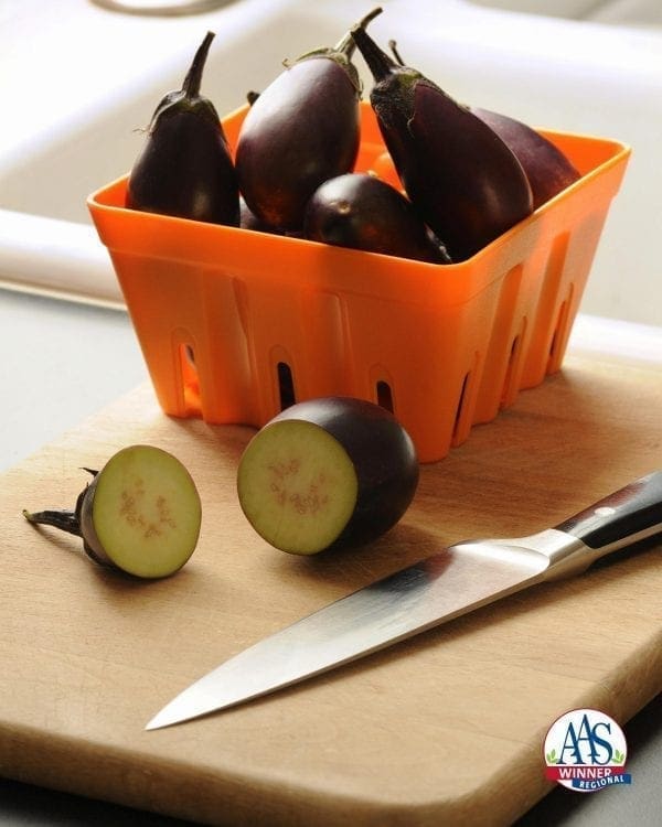 Aubergine Patio Baby F1 – Image 2
