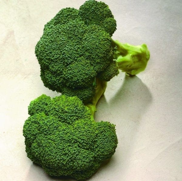 Brocoli Diplomat F1