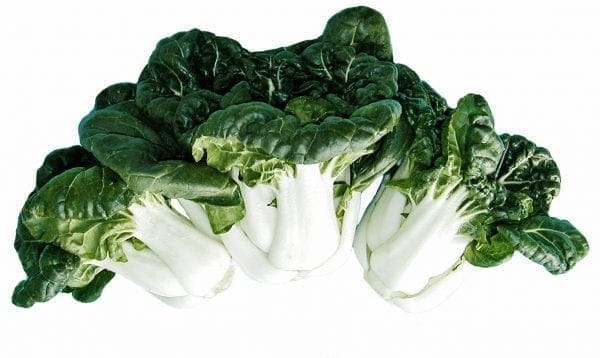 Légumes orientaux White Jewel F1