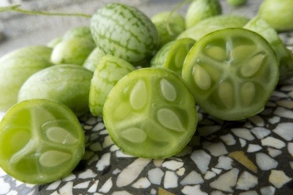 Concombre de spécialité Mouse Melon