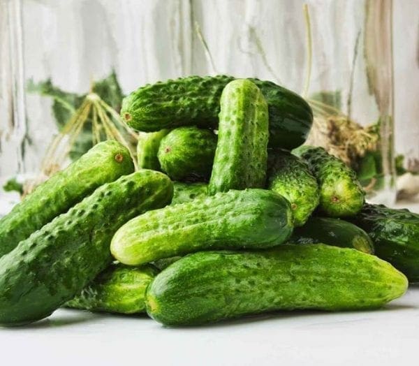 Cornichon Petipikel F1