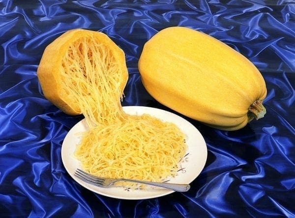 Courge Spaghetti Végétal