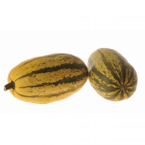 Courge Stripetti F1