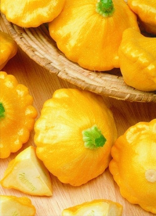 Courge Sunny Delight F1