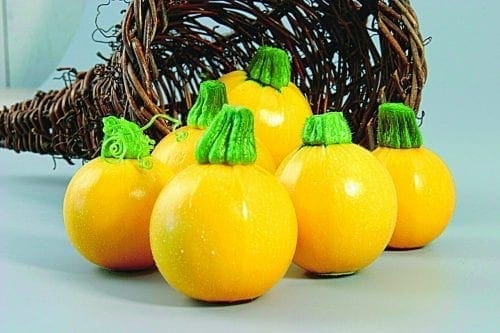  Courge One Ball F1