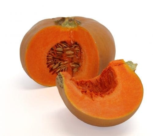  Courge Butterkin F1