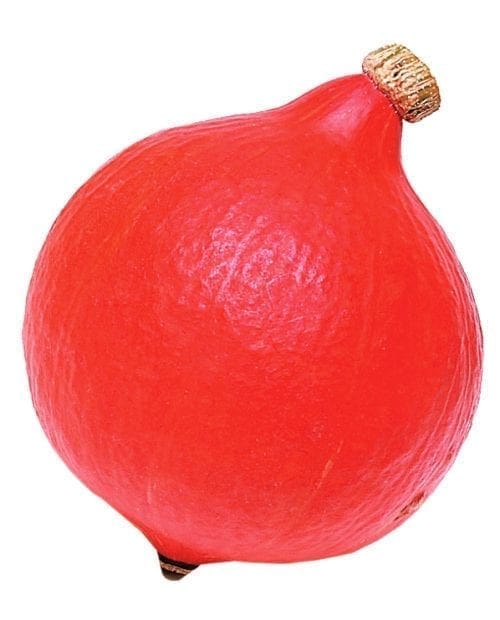  Courge Uchiki Kuri (Hubbard)