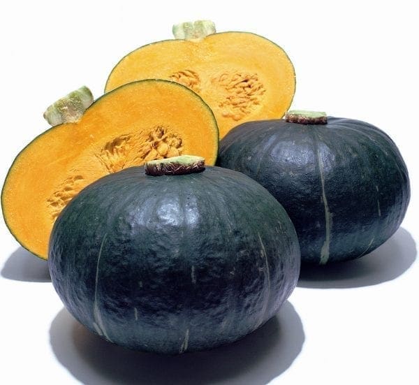 Courge Sweet Mama F1