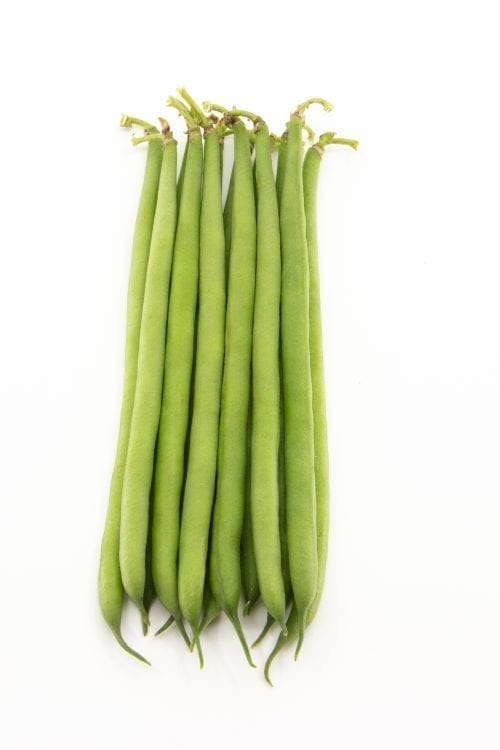  Haricot Hawaii Vert Cruiser