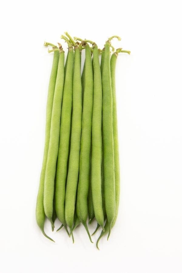 Haricot Hawaii Vert Cruiser