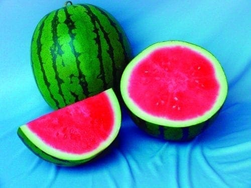  Melon Road Trip F1
