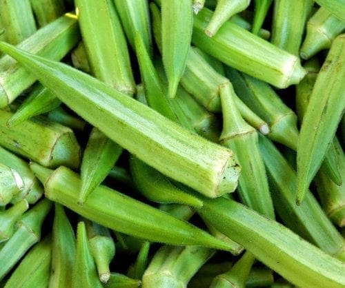  Okra Elisa F1