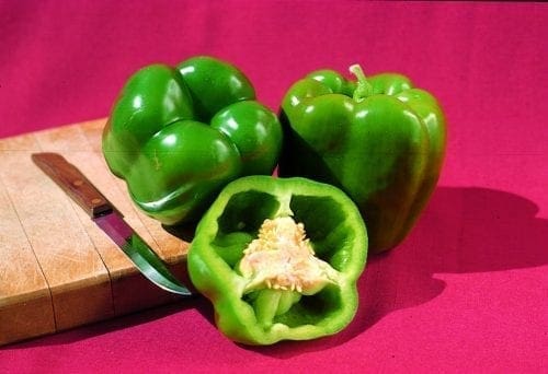  Poivron doux Greenbell F1