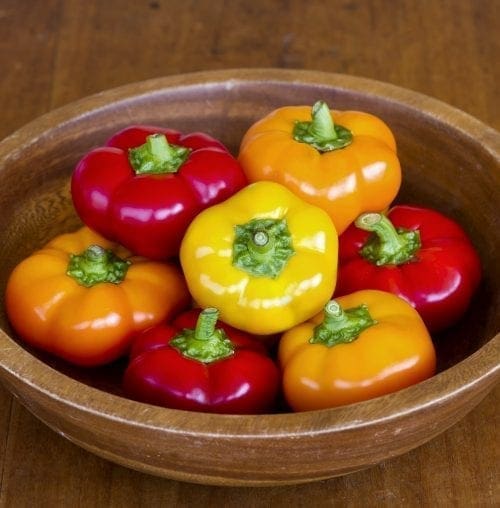  Poivron Hungarian Cheese F1