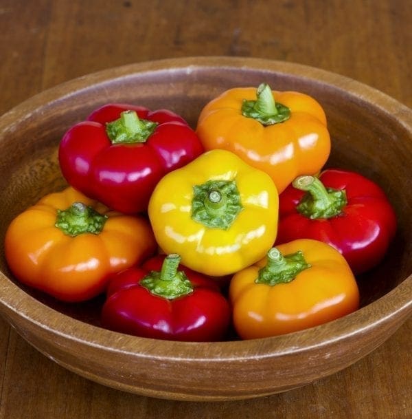 Poivron Hungarian Cheese F1