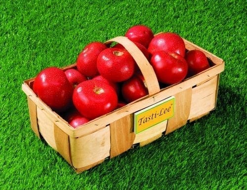  Tomate Tasti-Lee F1