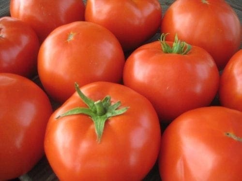  Tomate Mountain Merit F1