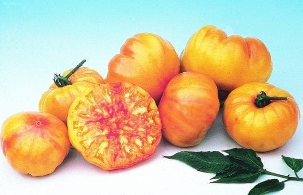 Tomate Striped German (Heirloom)