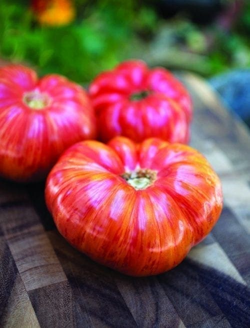  Tomate Stuffer Striped (Heirloom)