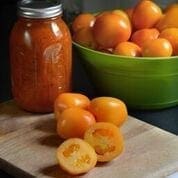 Tomate Sunrise Sauce F1