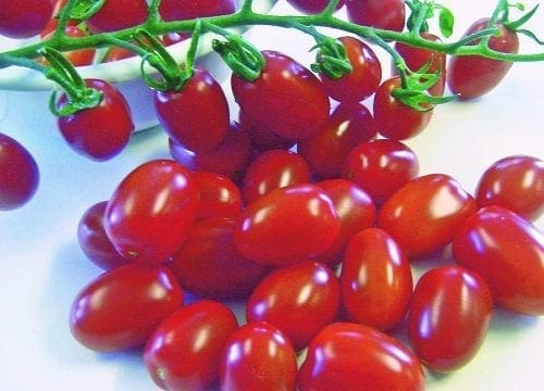  Tomate Little Napoli F1