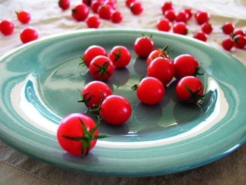  Tomate Sweet Treats F1