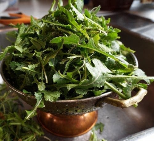  Roquette Wasabi