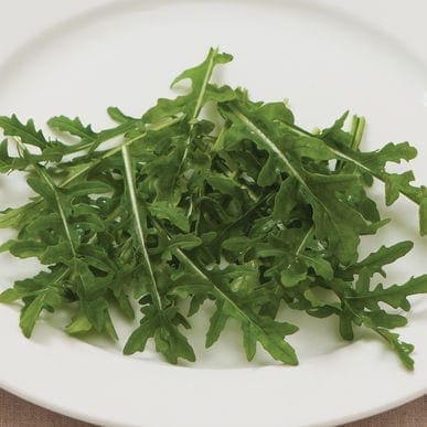  Roquette (Arugula) Bellezia