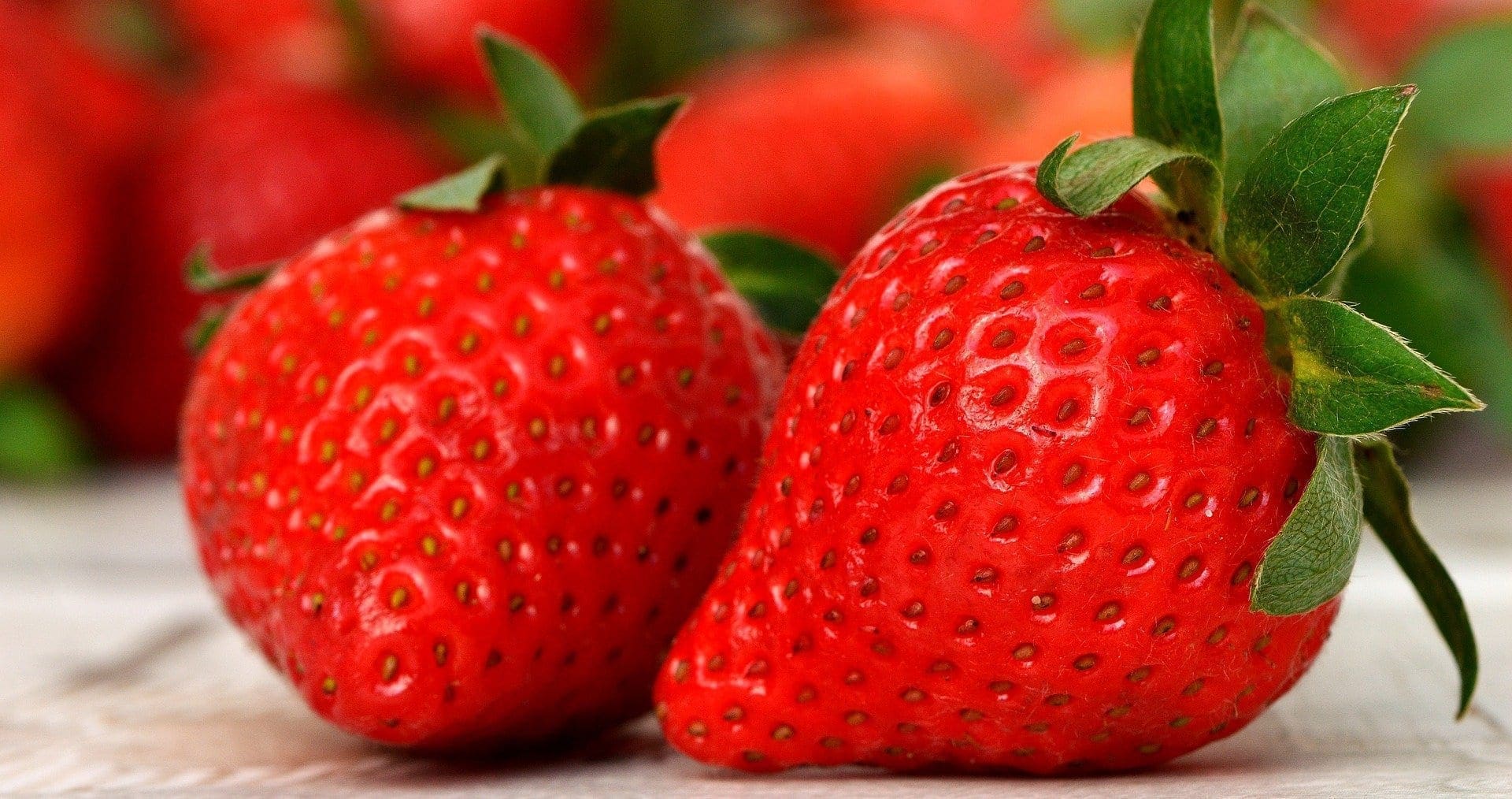 Fraisiers en mottes