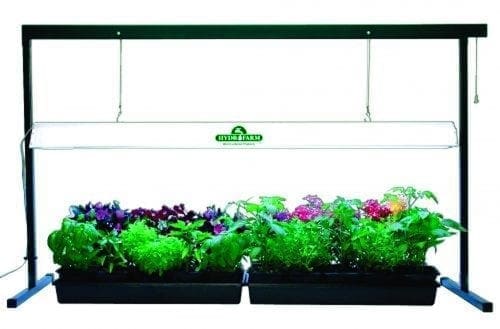  Jump Start 120 cm