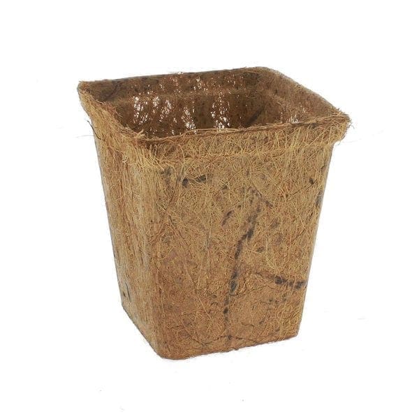 Contenant en fibre de coco 9 cm carré