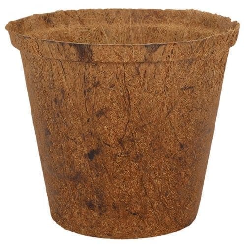  Contenant en fibre de coco 10 cm rond