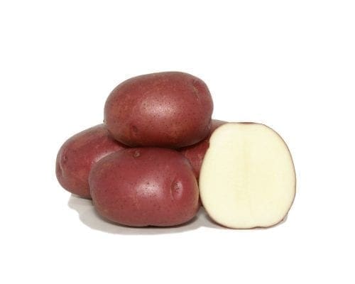  Pommes de terre – Norland