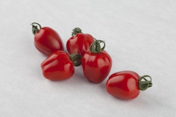 Tomate Apple Red F1