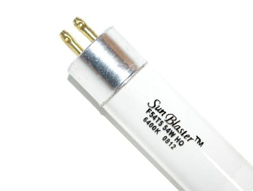  Ampoule fluorescente T5 60 cm