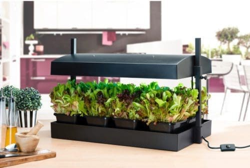  Jardinière de croissance DEL avec minuterie