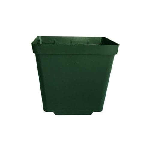  Contenant de plastique carré 10 cm