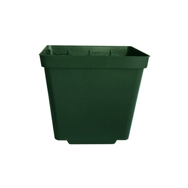 Contenant de plastique carré 10 cm