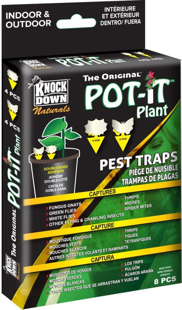 Pot-It' piège collant pour plante
