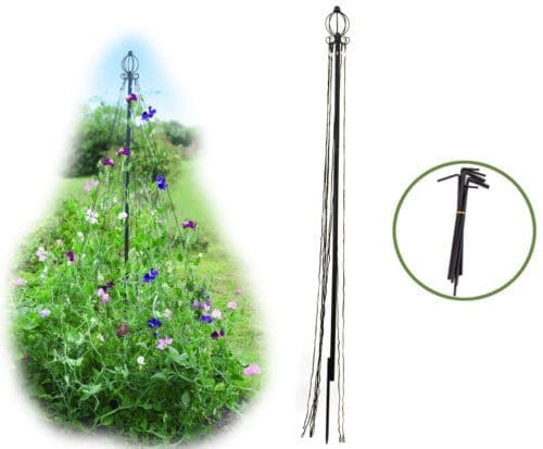  Mât avec cordage pour plantes grimpantes