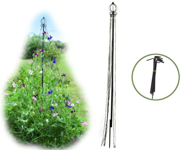 Mât avec cordage pour plantes grimpantes