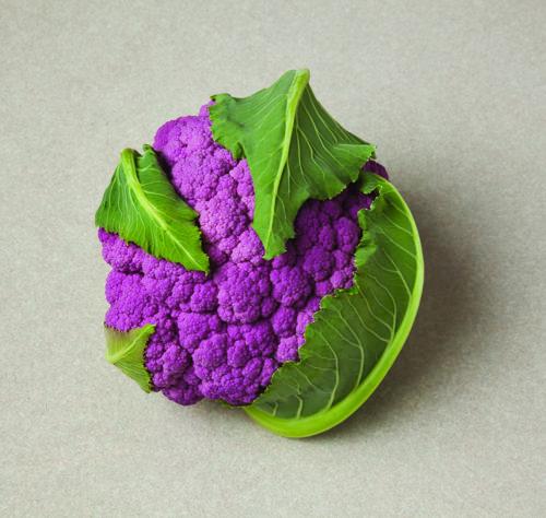  Chou-fleur Depurple F1