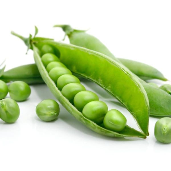 Pois Petite Merveille