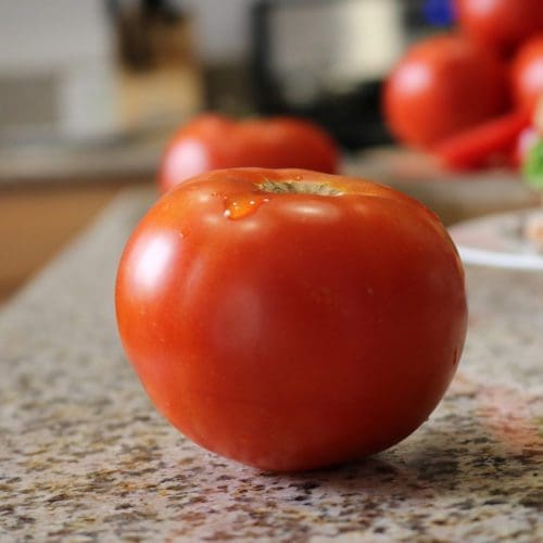  Tomate Célébrité Plus F1