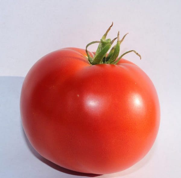 Tomate Big Beef Plus F1