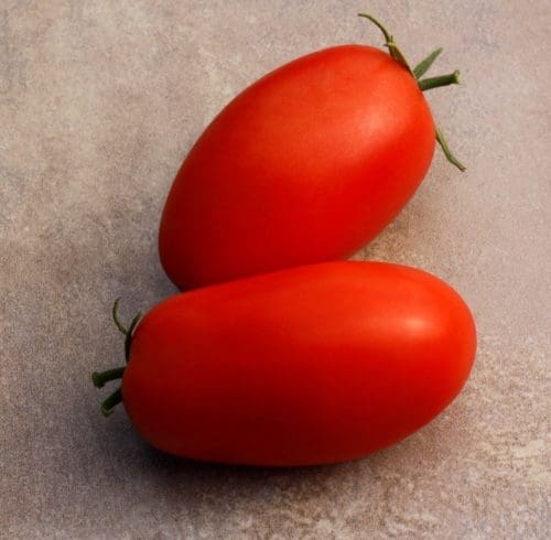  Tomate Supremo F1