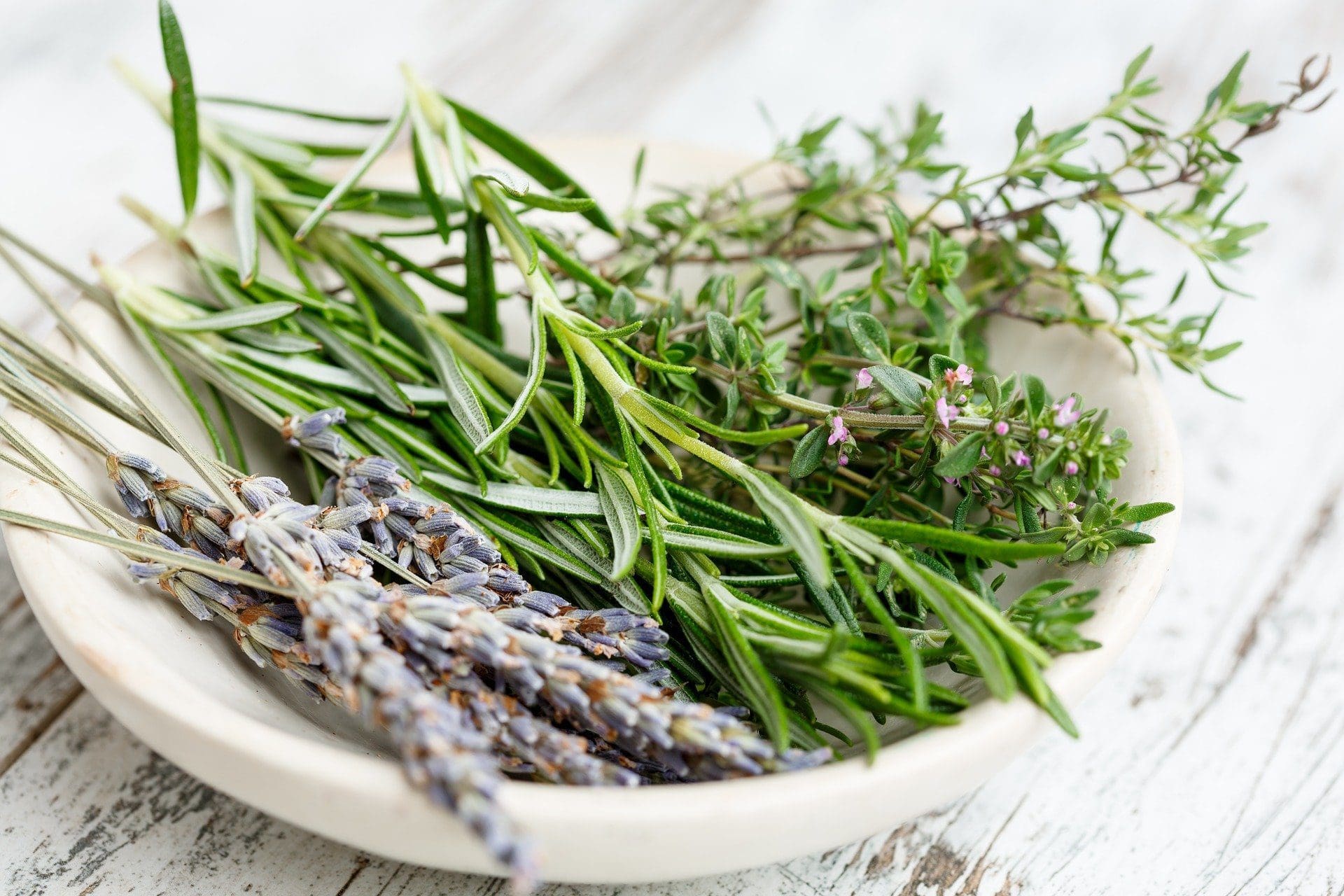 Semer des fines herbes à l’intérieur